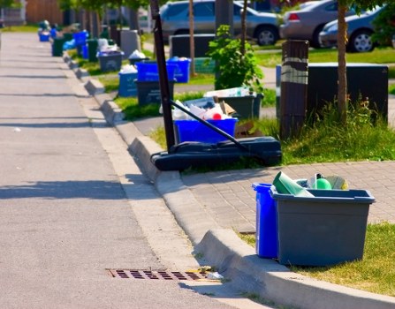 Efficient garden waste disposal process in a Wembley garden.